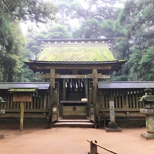 星夢（セイム）の病気平癒